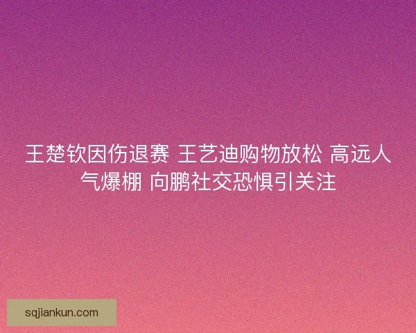 王楚钦因伤退赛 王艺迪购物放松 高远人气爆棚 向鹏社交恐惧引关注 王楚钦因伤退赛 王艺迪购物放松 高远人气爆棚 向鹏社交恐惧引关注