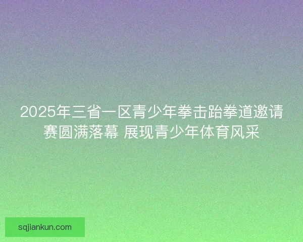 2025年三省一区青少年拳击跆拳道邀请赛圆满落幕 展现青少年体育风采