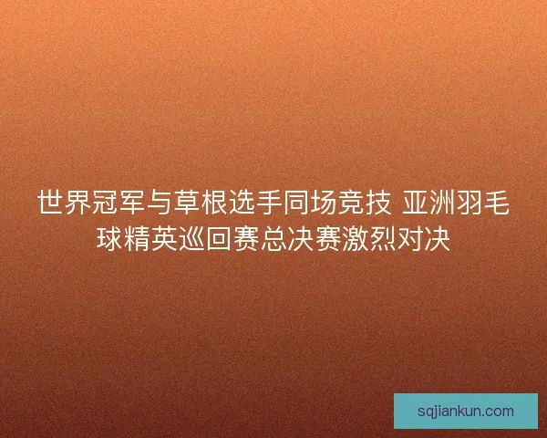 世界冠军与草根选手同场竞技 亚洲羽毛球精英巡回赛总决赛激烈对决 世界冠军与草根选手同场竞技 亚洲羽毛球精英巡回赛总决赛激烈对决