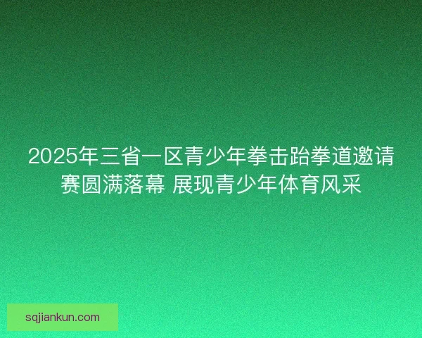 2025年三省一区青少年拳击跆拳道邀请赛圆满落幕 展现青少年体育风采